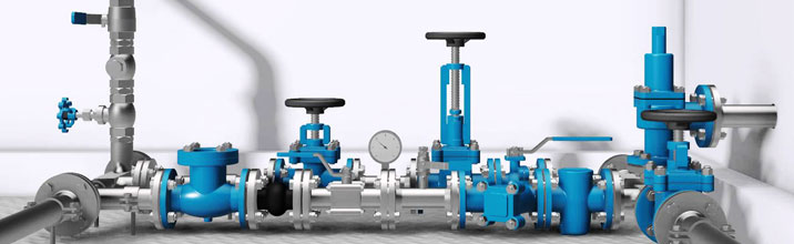 Globe Valve